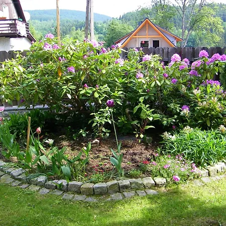 Modrzewianka *